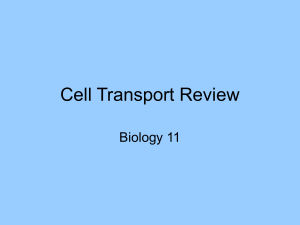 Cell Transport Review - hrsbstaff.ednet.ns.ca