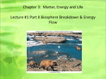 Chapter 3: Matter, Energy and Life Lecture #1 Part II