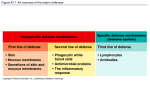 Active Immunity