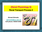 6-Renal Physiology 6 (Renal transport Process