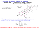 S17 Cholesterol And Steroids Biosynthesis
