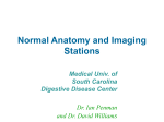 Normal Anatomy and Imaging Stations
