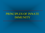 IMMUNITY MEDIATED BY B LYMPHOCYTES AND ANTIBODIES