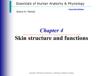 Skin functions and structure