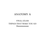 Final Exam review PPT File