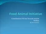 Chamney Food Animal Initiative