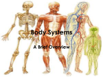 Human Body Systems