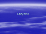 Enzymes - Net Start Class