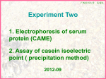 1. Electrophoresis of serum protein (CAME)