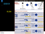 TSE diagnostics 4