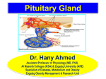 posterior pituitary hormones