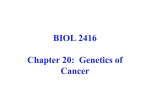 Genetics of Cancer