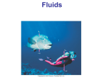 Fluids