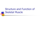 2-Structureskeletalm..