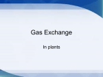 Gas Exchange - Hope Christian College Parent and Student Portal