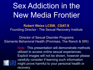 Sex Addiction in the New Media Frontier