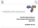 Prediction of B cell epitopes