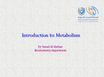 Introduction to Metabolism