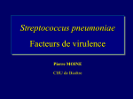 pneumo-virulence - Institut Maurice Rapin