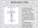 Animal Reproduction - Wythe County Schools Moodle Site