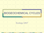 BIOGEOCHEMICAL CYCLES