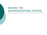 review the gastrointestinal system