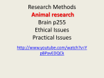 animal research pp f