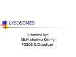 lysosomes - PGGCG-11, Content Management Portal