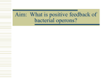 Aim: What is positive feedback of bacterial operons?