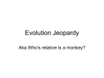 Evolution Jeopardy