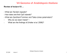 Arabidopsis thaliana Arabidopsis thaliana