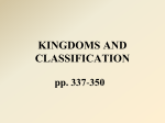 KINGDOMS AND CLASSIFICATION pp. 337