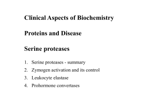 serine proteases