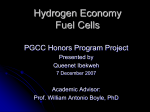 the hydrogen economy: fuel cells