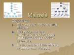 Meiosis - MSwiftSRHS