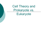 Scientists, Cell Theory and Prokaryote vs. Eukaryote