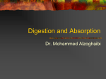 Digestion and Absorption (8)