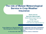 Local maize yield simulation for Malawi