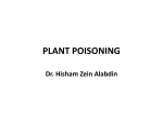 PLANTS POISONING