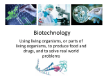 Biotechnology Vocabulary