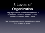 8 Levels of Organization