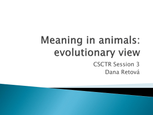 evolutionary view