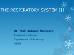 the respiratory system iii