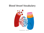 Blood vessel pathology