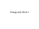Energy and Life 8-1