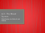 6.2 - The Blood System