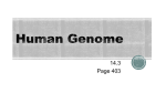 Human Genome