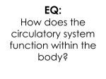 PPT: Circulatory system 2