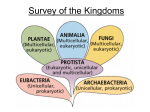 Survey of the Kingdoms Kingdom Protista
