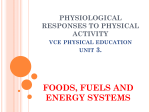 physiological responses to physical activity